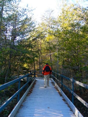 My husband, Bob, walking across the bridge to the overlook at Lilly Bell.
