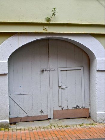 I liked the tenacious weed growing out of the side of this building, Waterford
