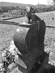 Many of the tomb stones are for children and infants.
