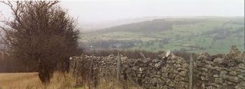 Wales - wood pile
