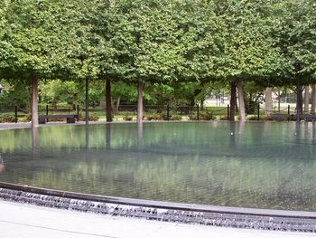 Reflecting pool - Korean War Memorial
