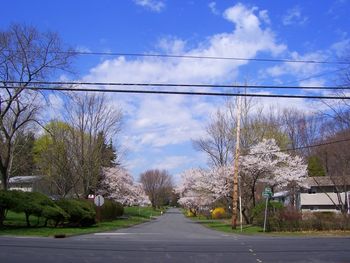 Beautiful early Spring day in Nanuet!
