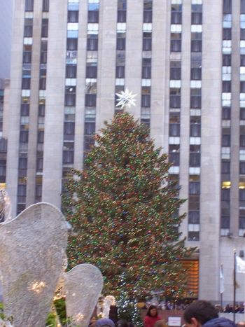 The Christmas Tree at Rockefeller Center
