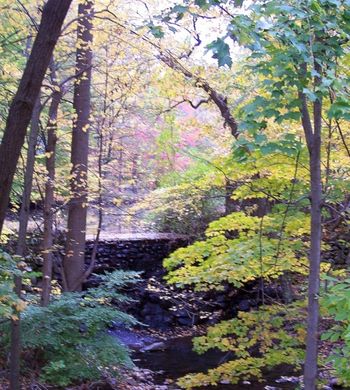 Waterfall opposite Jawonio, off of Little Tor Rd., New City
