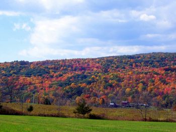 Autumn doesn't get much better than this!
