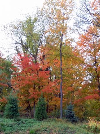 Behind the church, New Hempstead Rd.
