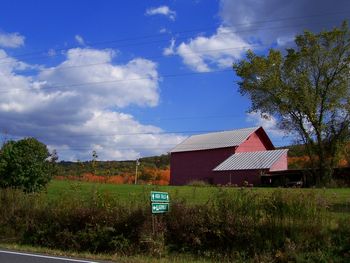 Near High Falls
