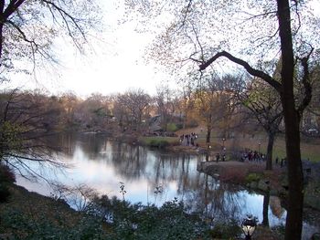 Lovely Central Park scene
