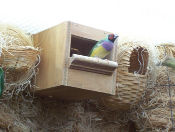 Helen Bader Center - watch the birdie!
