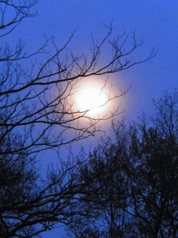 April 25th, 2013 - pre-full moon.
