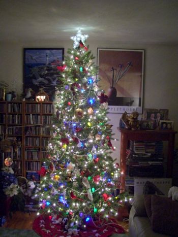 Our Christmas tree - so beautiful!
