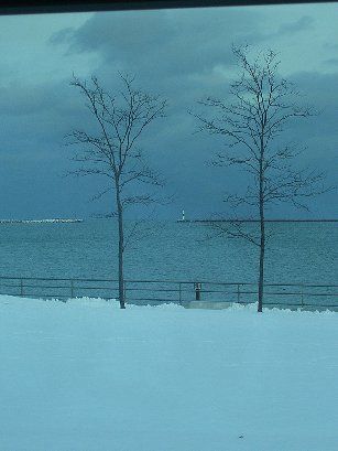 View of Lake Michigan from the Art Museum
