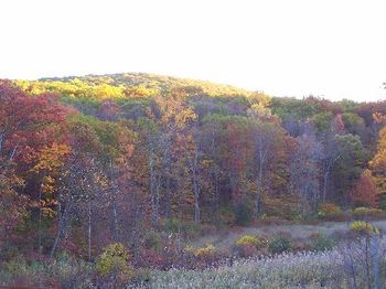 Incredible colors of Autumn!
