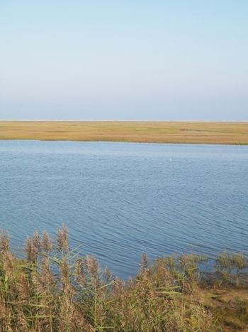 Light wind sweeps across the water
