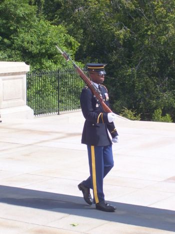 Attentive guard at the Tomb of the Unknown Soldier
