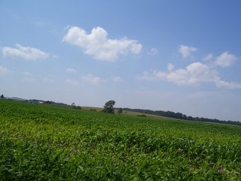 Beautiful day out in the country - so green and lush!
