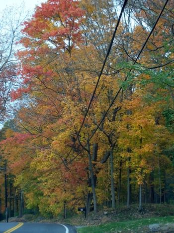 Mile Road, Suffern
