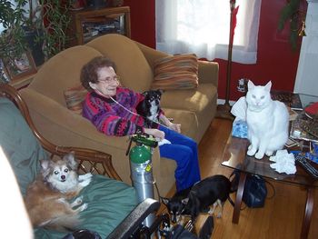 Mother-in-law Carol and menagerie
