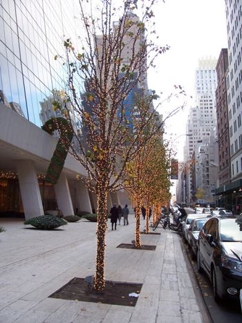 NYC, dressed up for Christmas
