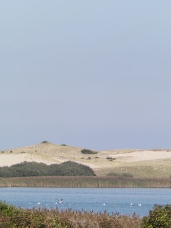 Those lovely P-Town dunes under a violet sky
