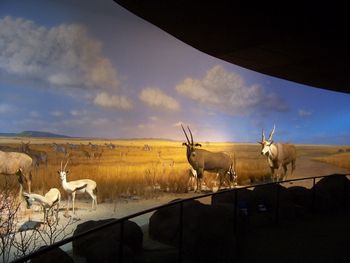 Gorgeous African panorama!
