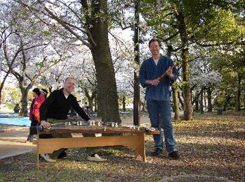 Under the Cherries in the Peace Park, Hiroshima
