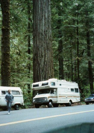 The RV in the Red Woods. They are so amazing!!
