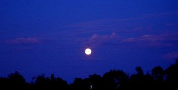 Just A Man in the Moon -----  Cover shot from the East  around Sep 2008
