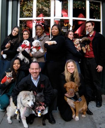 Happy Holidays 2010 from NYC Veterinary Specialists' Oncology Dept.!
