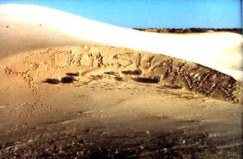 Soulshaker National Monument , Monahan sand dunes
