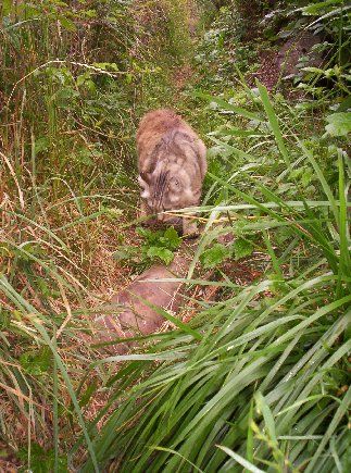 Okay, I'm hiking as fast as I can!
