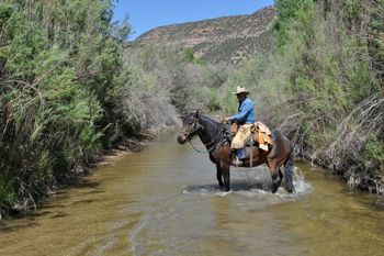Gary and Bingo in the Mancos River
