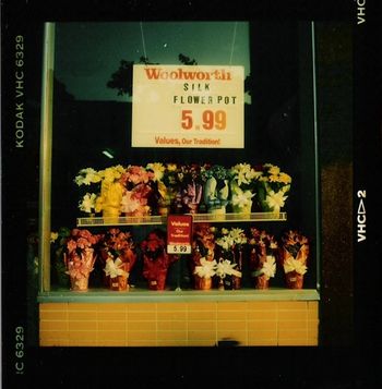 Woolworth Flowers. Tuscaloosa, Alabama, 1989.
