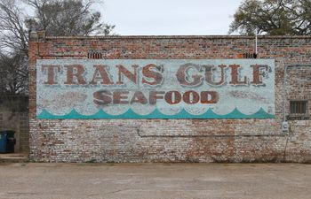 Trans Gulf Seafood. Mobile, Alabama. February 14, 2016.
