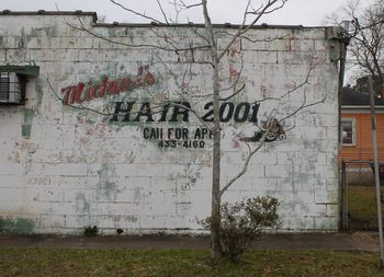 Michael's Hair 2001. Mobile, Alabama. February 14, 2016.
