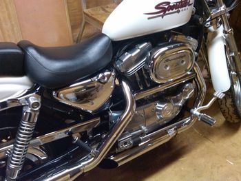 The Sacrificial Goat. That's right, I sold my Harley to pay for CD manufacturing.....(subliminal message......buy a CD!)
