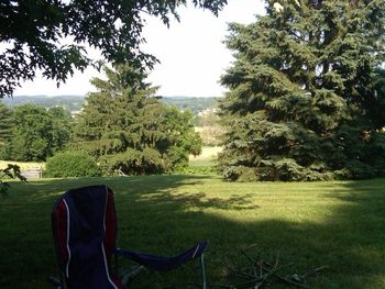 Down on the Farm - A lovely view back of the studio in Westminster
