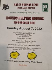 Cousin Jake @ HOUNDS HELPING HOUNDS