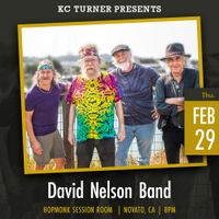 David Nelson Band 