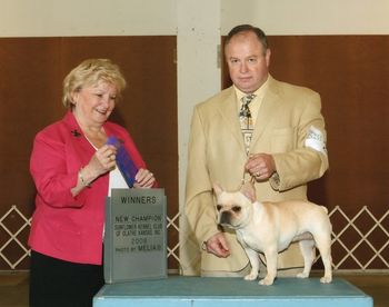 CH. HILLBUCKLE'S ICY BEAR, MY LATEST CHAMPION, SHE IS A BIGGER, STRONGER, COPY OF HER MOTHER, GINA, SHE IS SNOWY'S SISTER, SHE IS SHOWN, HERE, GETTING HER, CHAMPIONSHIP, IN GARDNER, KS. 2008
