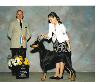 Abbie & Demi take the breed over specials for 1 point at the Marquette Kennel Club (Mi.)under respected breeder Judge Ed Bivin.
