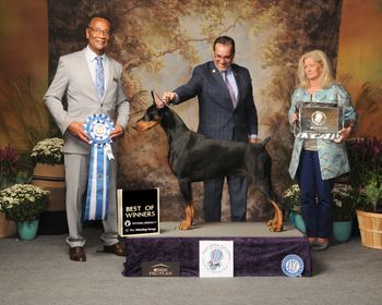 DPCA National Best of Winner's Judge Adrian Woodfork
