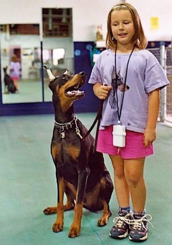 Louie and Madeline earning a Canine Good Citizen title. Madeline is the 9 year old grand daughter of Louie's owner.
