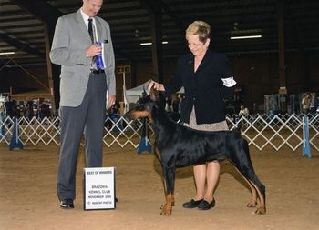 Judy & Eli's second Texas win for 2 points. Judge Jon Cole awards Best Of Winners at Brazoria Kennel Club 11/15/09.
