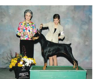 Another Best of Breed over specials under respected Judge Michelle Billings.
