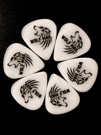 Guitar picks - Wolf Mail signature 