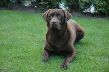 Nog zo'n knappe zoon van Phoebe: Benson
