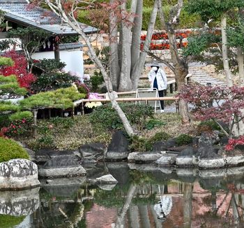 Reflections in a pond at the garden of happiness.
