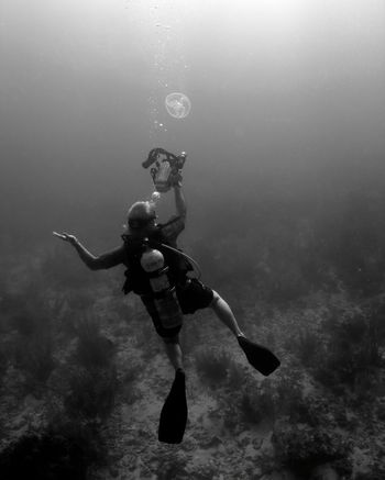 PCD films a half-moon jelly during a segment for "Lionfish - The Beautiful Outlaw" in Belize. Photo: Monica Gephart
