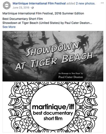 Martninque International Film Festival announces Deaton's "Best International Documentary" win.
